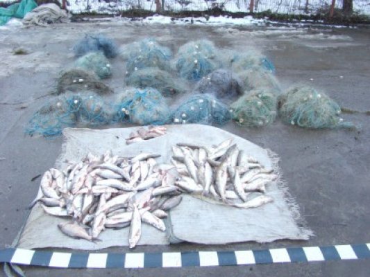 Plase monofilament confiscate de poliţiştii de frontieră